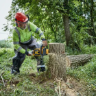 Motosserra a Bateria Dewalt XR Flexvolt 54V 9Ah - Motosserra a Bateria Dewalt XR Flexvolt 54V 9Ah